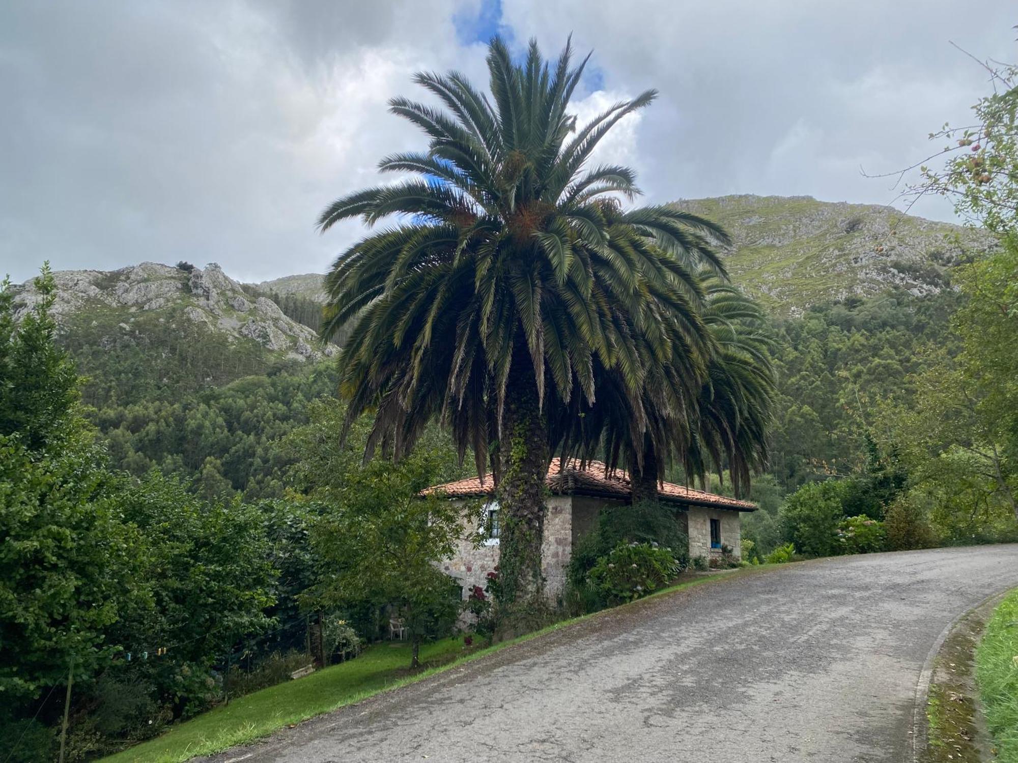 Vila Casa Estilo Rural Con Jardin Entre Playa Y Montana Caravia Exteriér fotografie